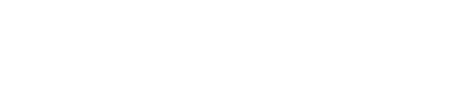 section1_bgbottom
